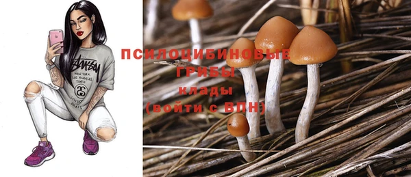 таблы Верхний Тагил