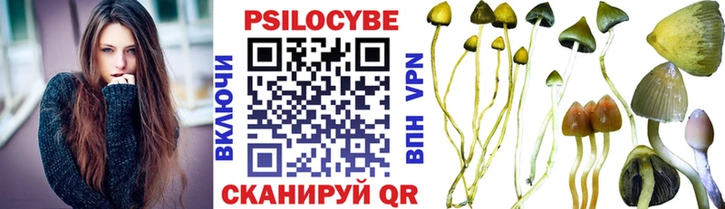 Галлюциногенные грибы Cubensis  продажа наркотиков  Пласт 